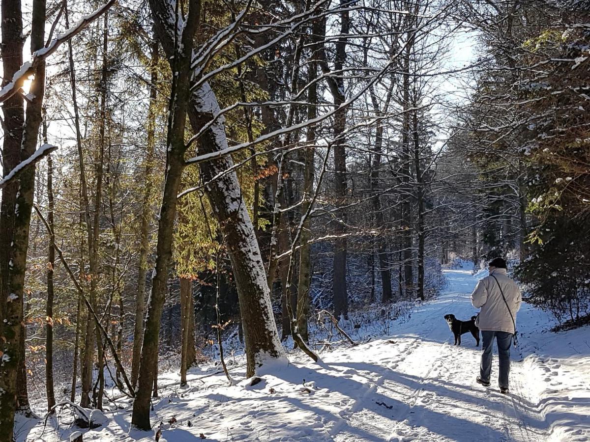 Ferienhaus "Am Gehre" バート・ベルレブルク エクステリア 写真
