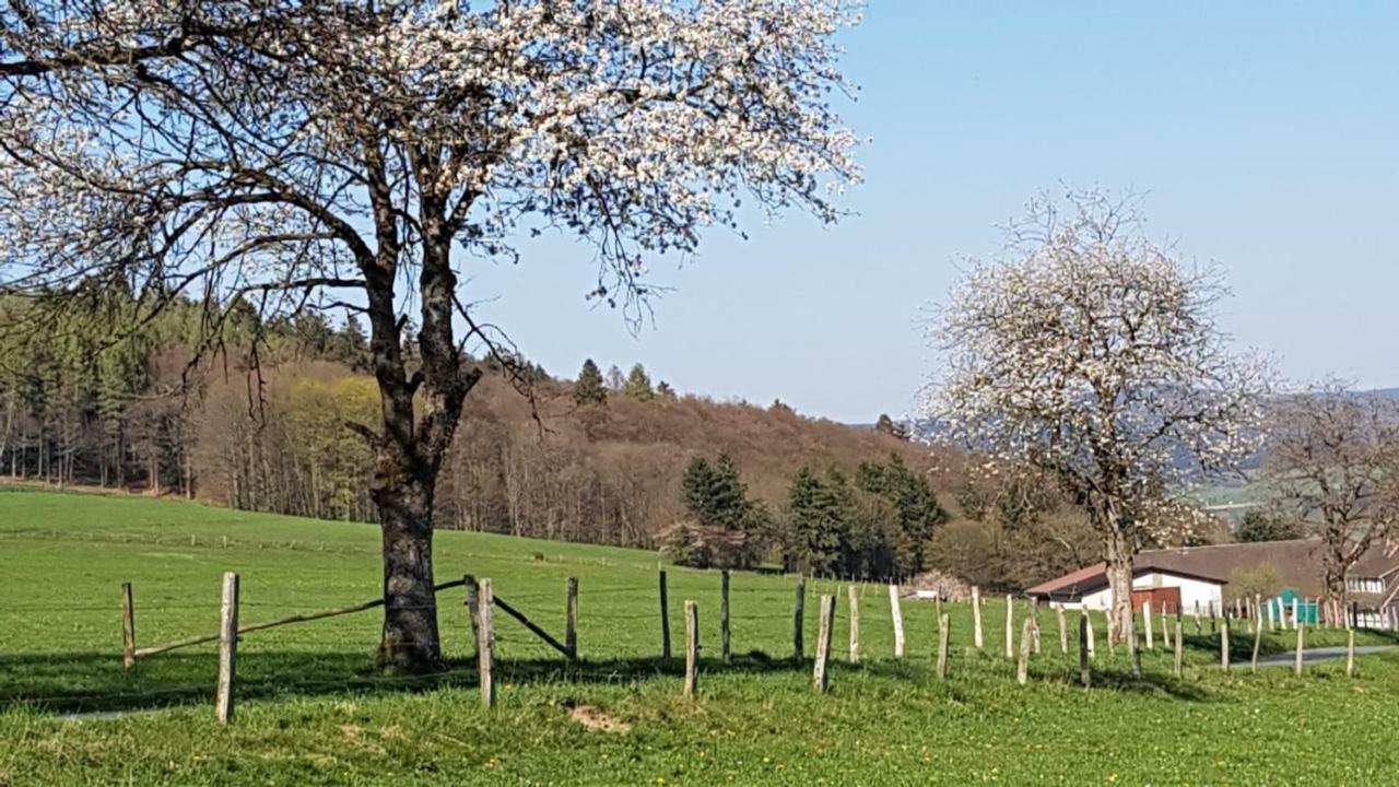 Ferienhaus "Am Gehre" バート・ベルレブルク エクステリア 写真
